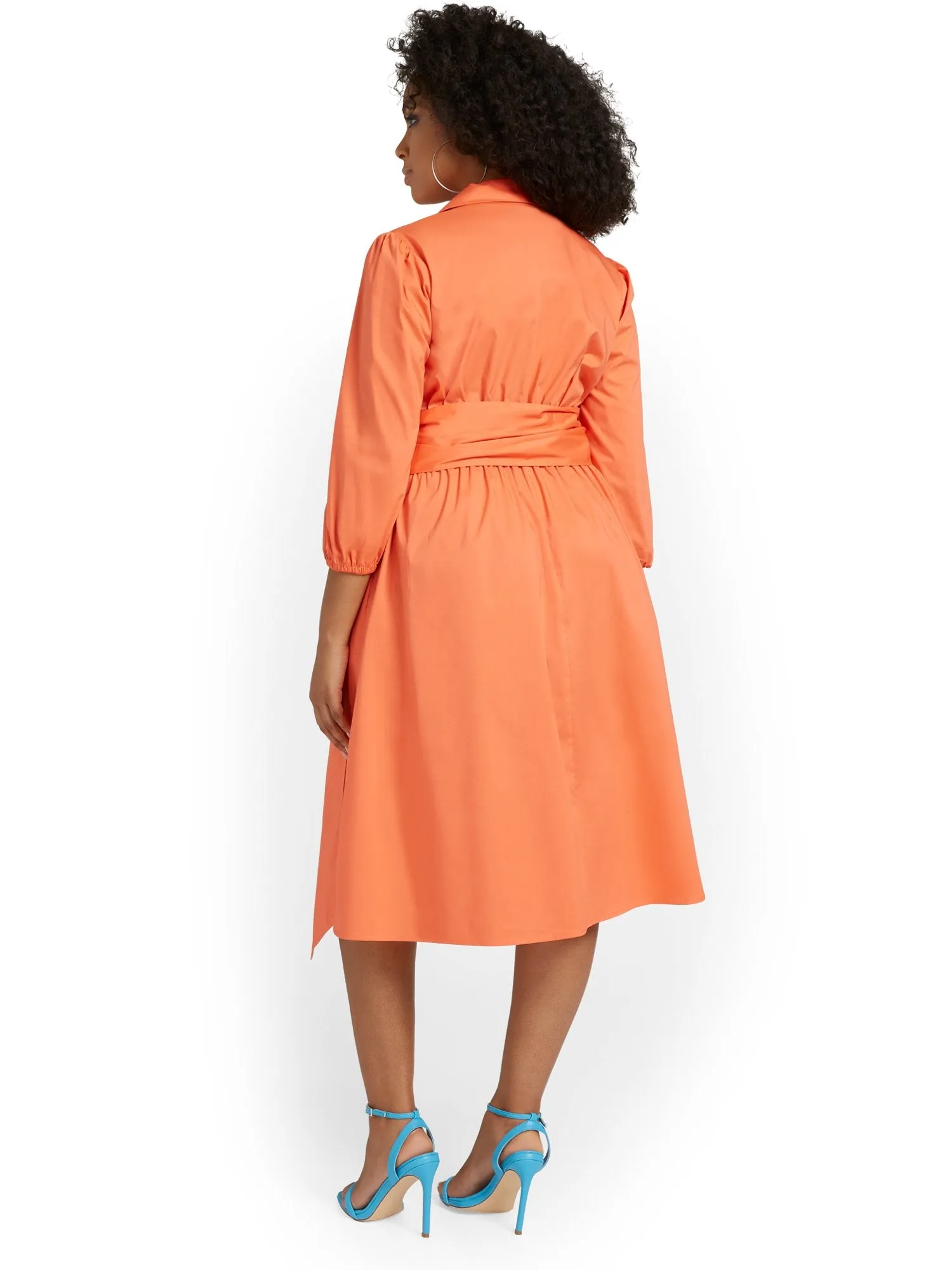 Button-Front Poplin Flare Shirtdress