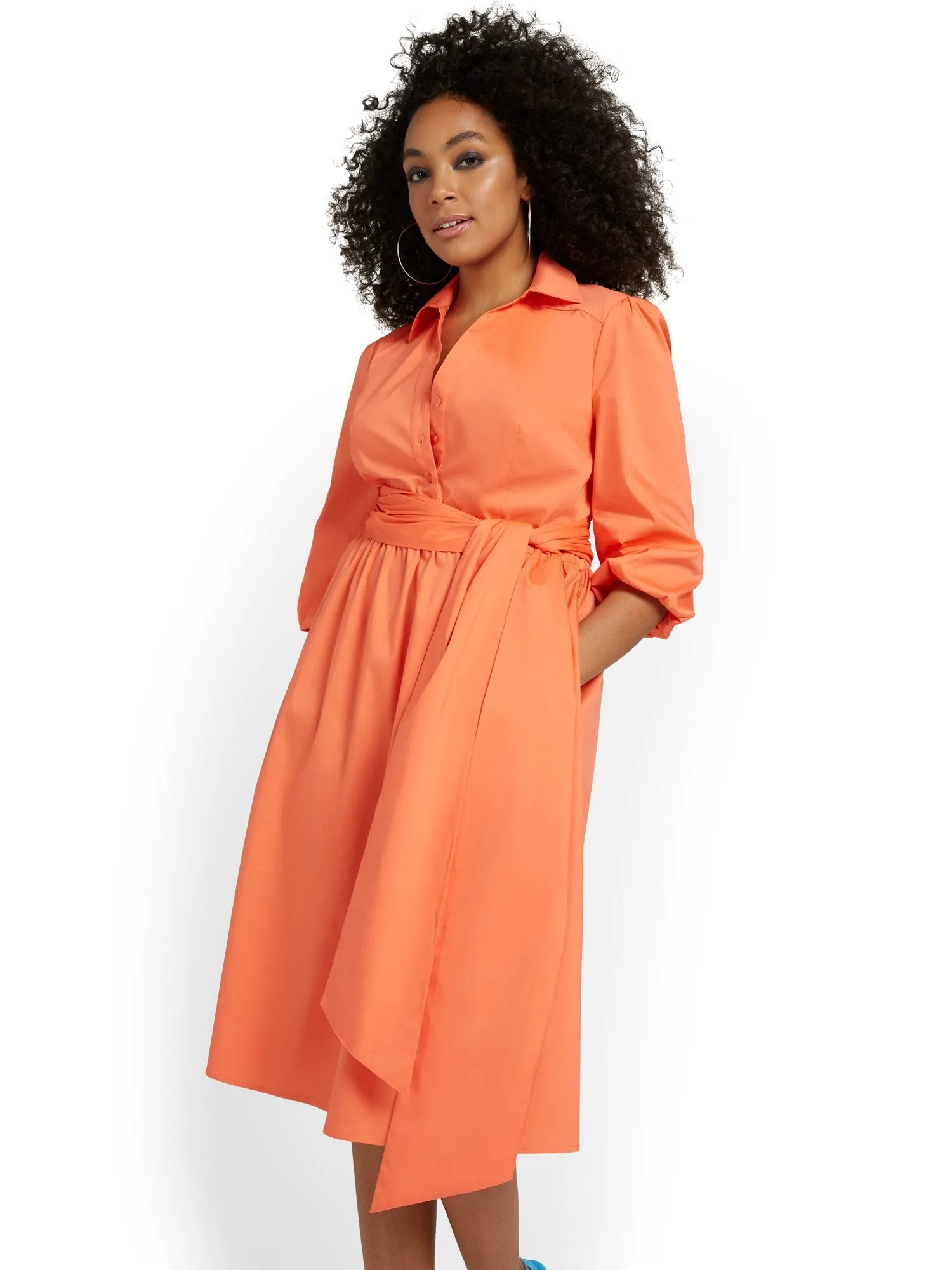 Button-Front Poplin Flare Shirtdress