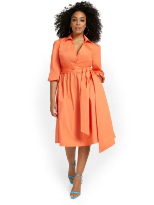 Button-Front Poplin Flare Shirtdress