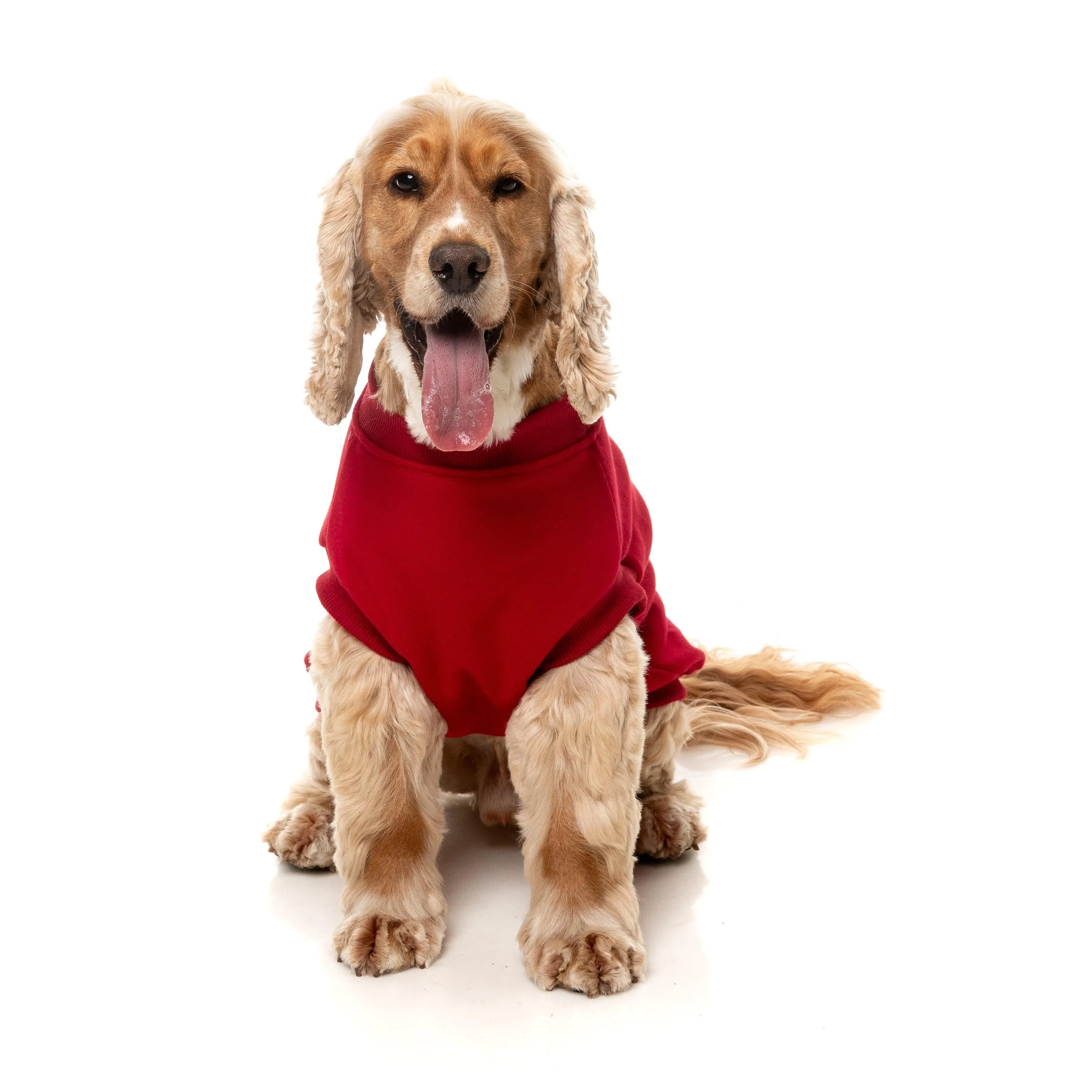 FuzzYard Dog Apparel Allday 25 Sweater Red Size 5 ^ ^