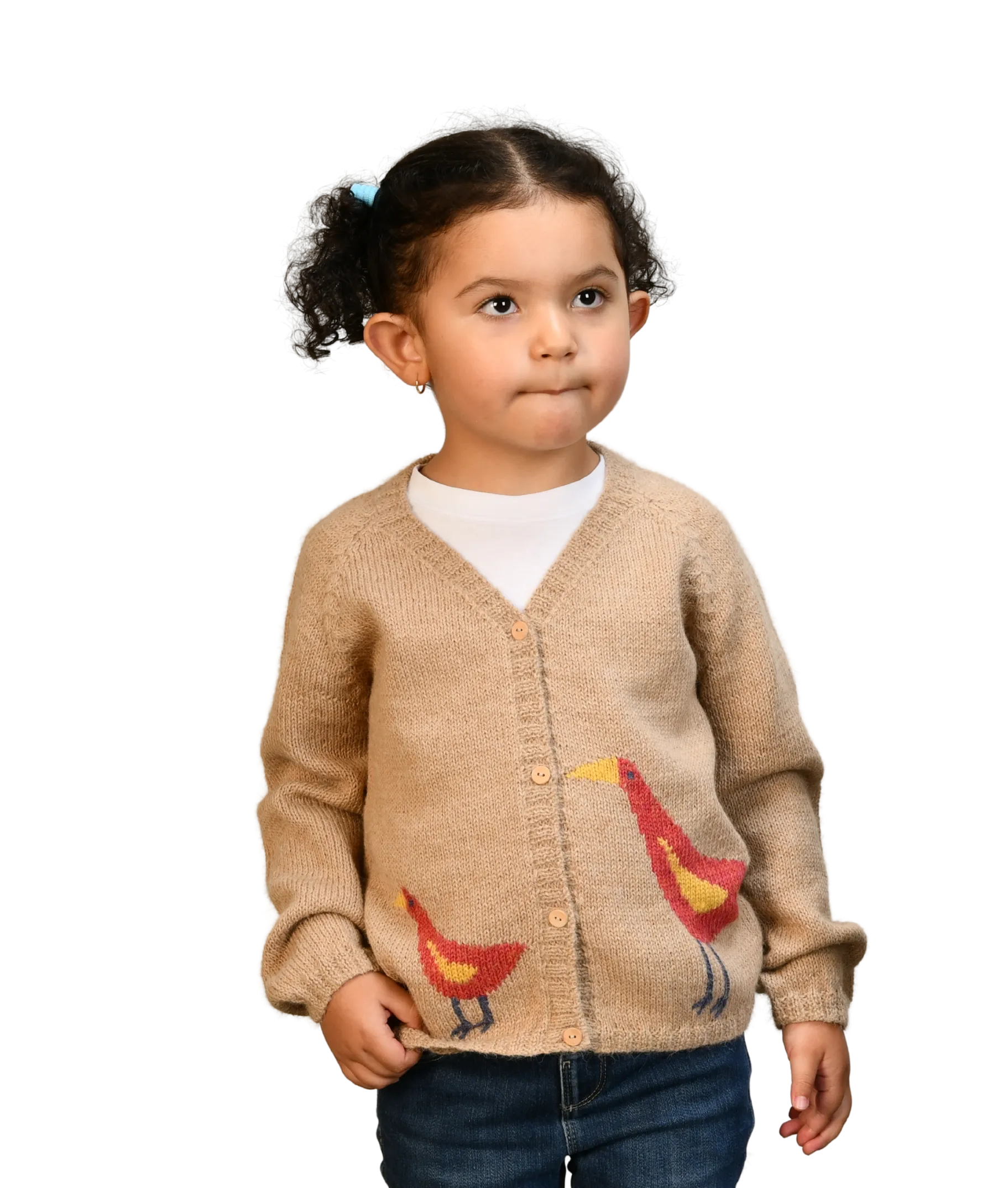 NW607 PEONY CLUCKADOO CARDIGAN