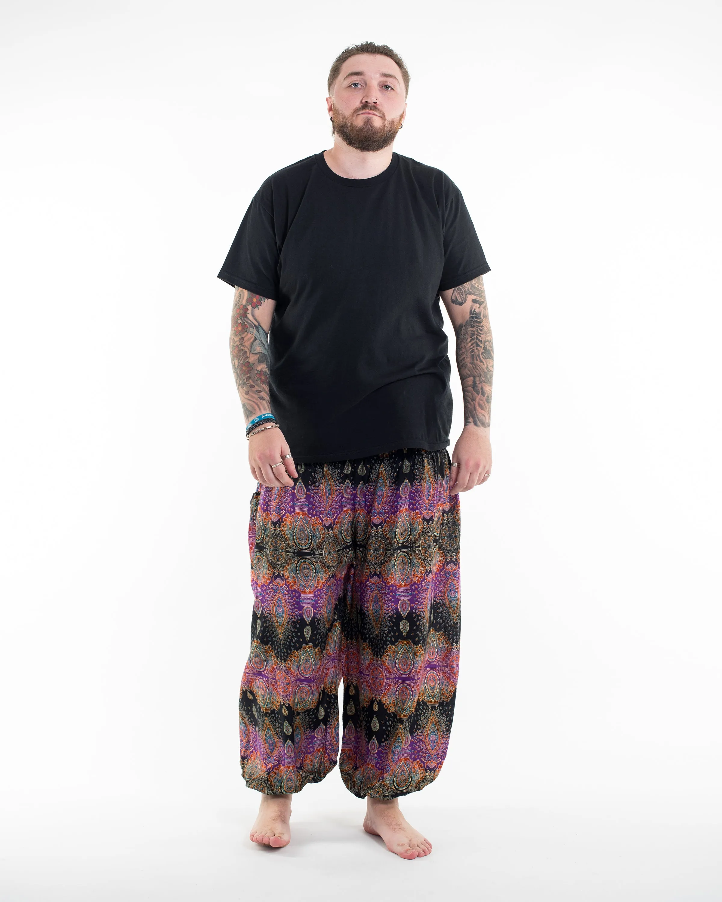 Plus Size Paisley Men's Harem Pants in Purple