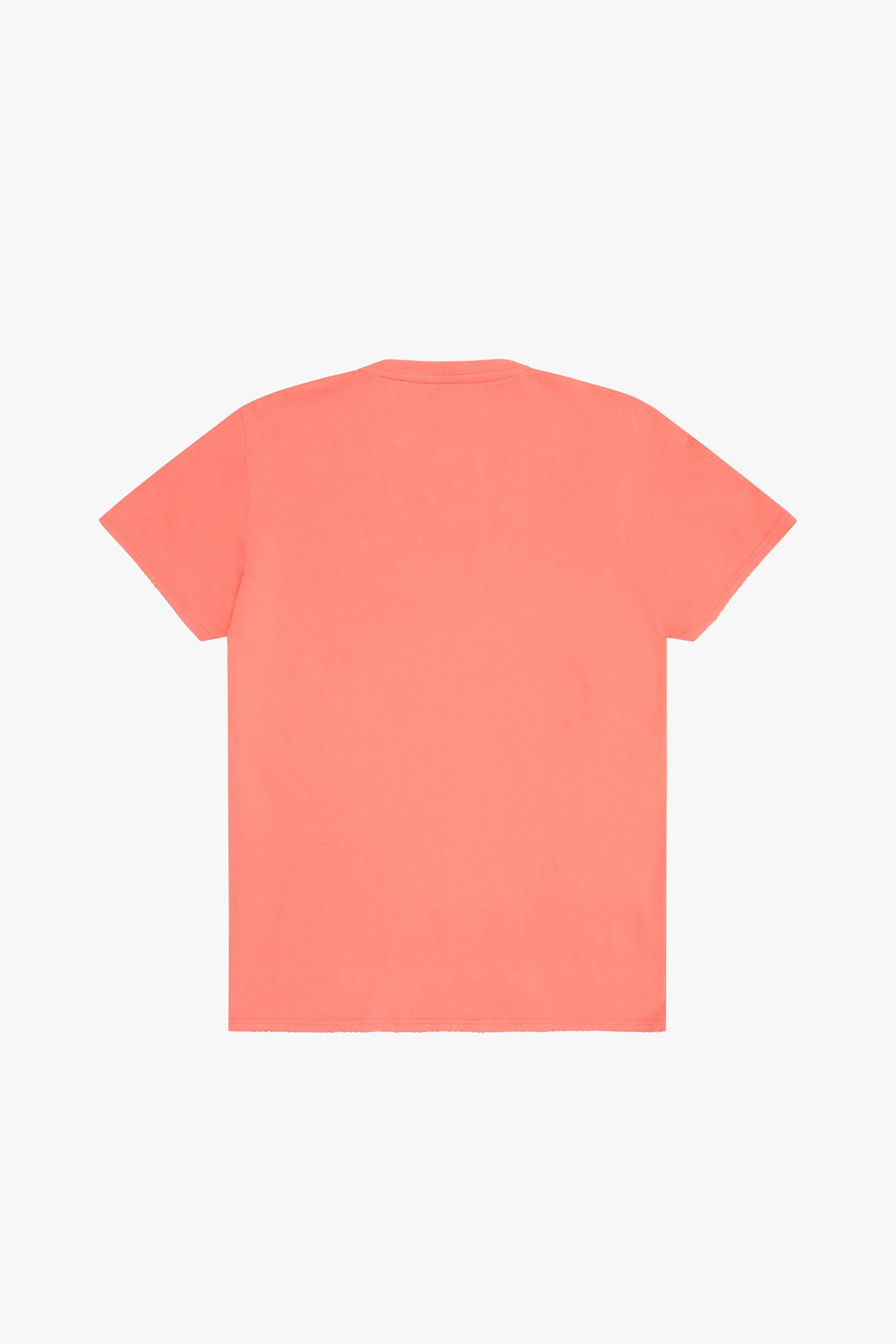 "ANTIQUE CAR SHOW" CAMIELLA TEE
