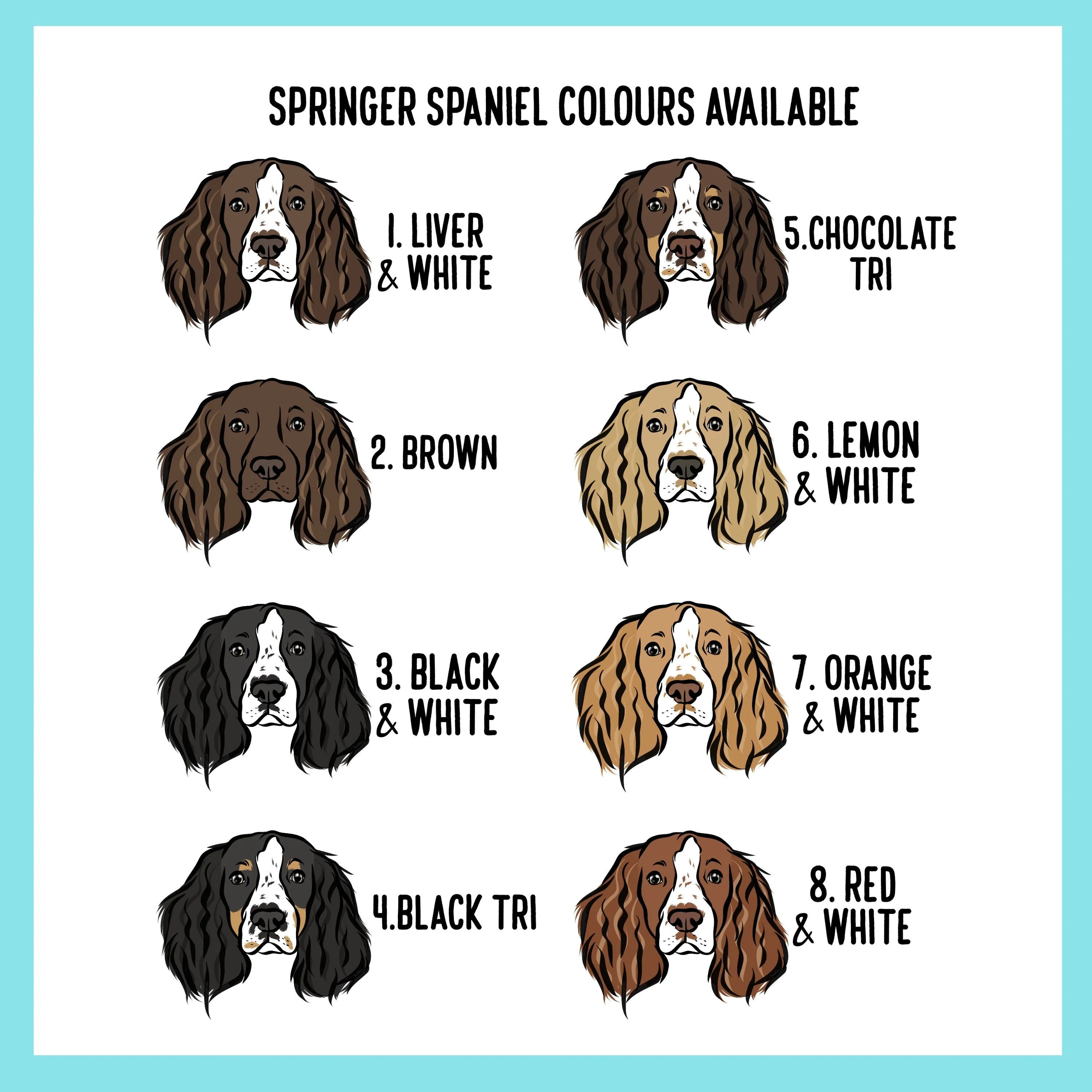 Springer Spaniel T-Shirt