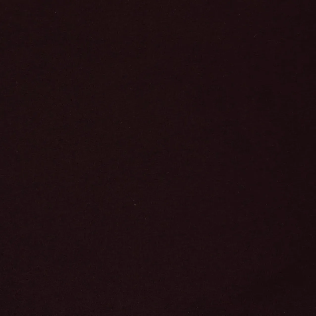 Tali Pant